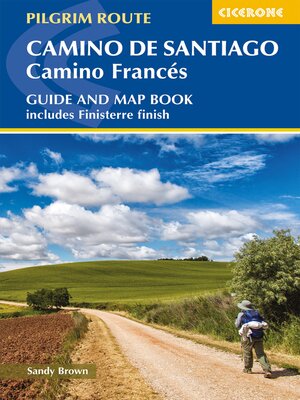 cover image of Camino de Santiago